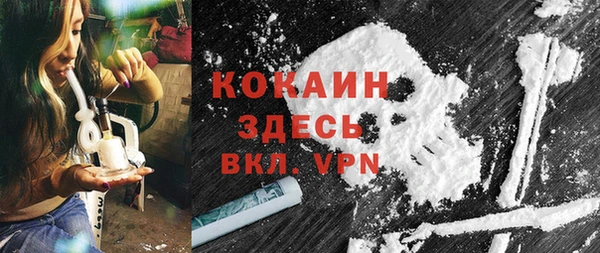 a pvp Бородино