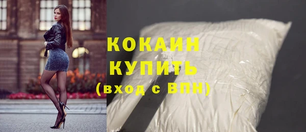 mdpv Богородск