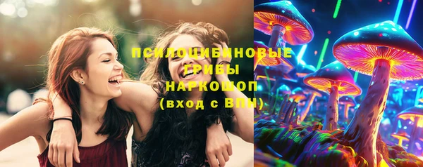 ешки Бронницы