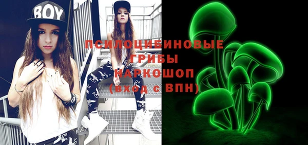 ешки Бронницы