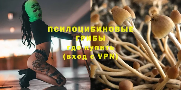 Альфа ПВП Богородицк