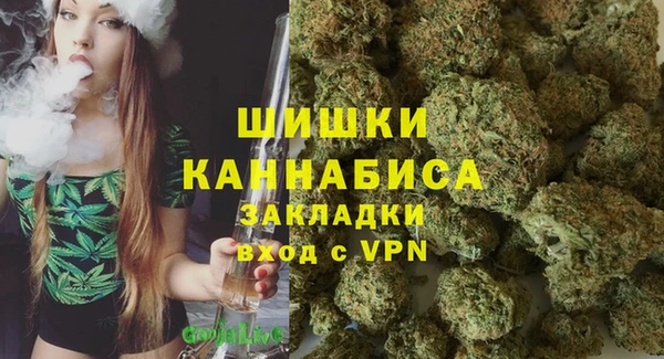 a pvp Бородино
