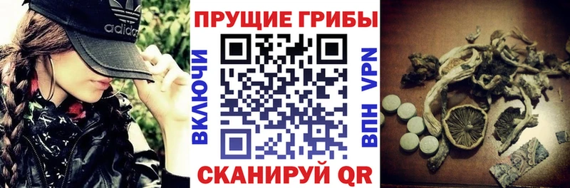 Галлюциногенные грибы мухоморы  omg зеркало  Гремячинск 